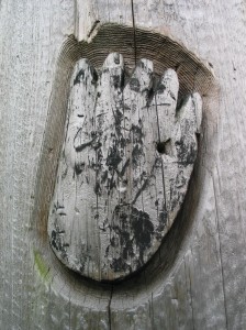 bear foot in wood