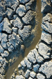 muddy water spring flows on dried cracked dirt